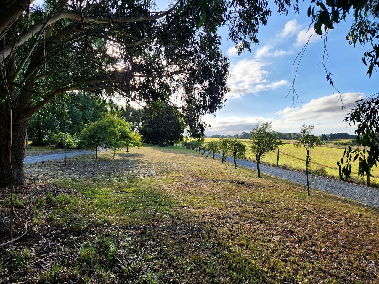 Calm Tiny House Surrounded by Precious Views and Nature in Canterbury, New Zealand