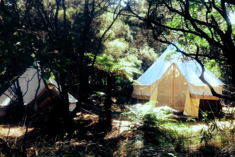 Kaitaia accommodation for the best bell tent glamping!