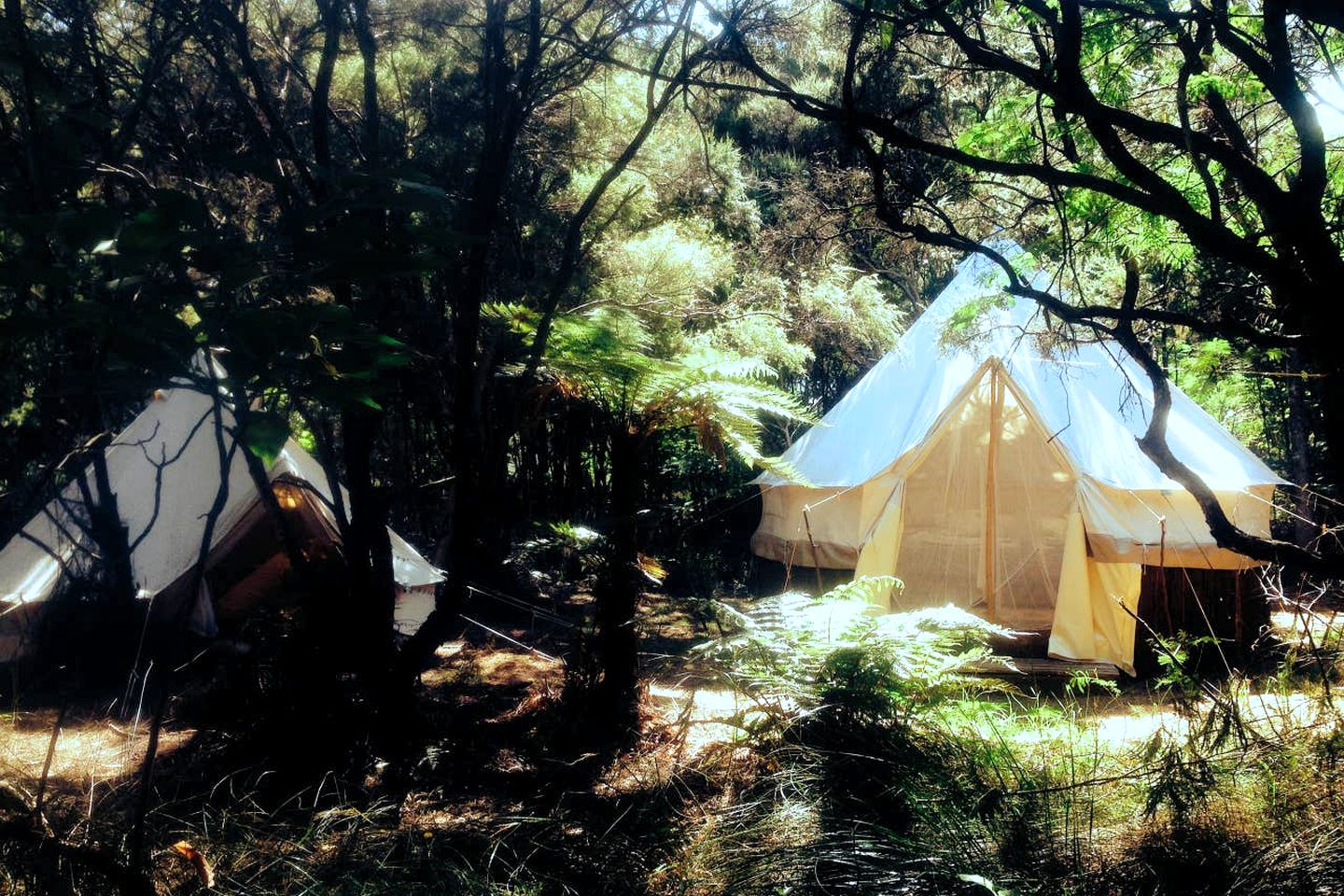 Unique Kaitaia Accommodation for North Island Glamping