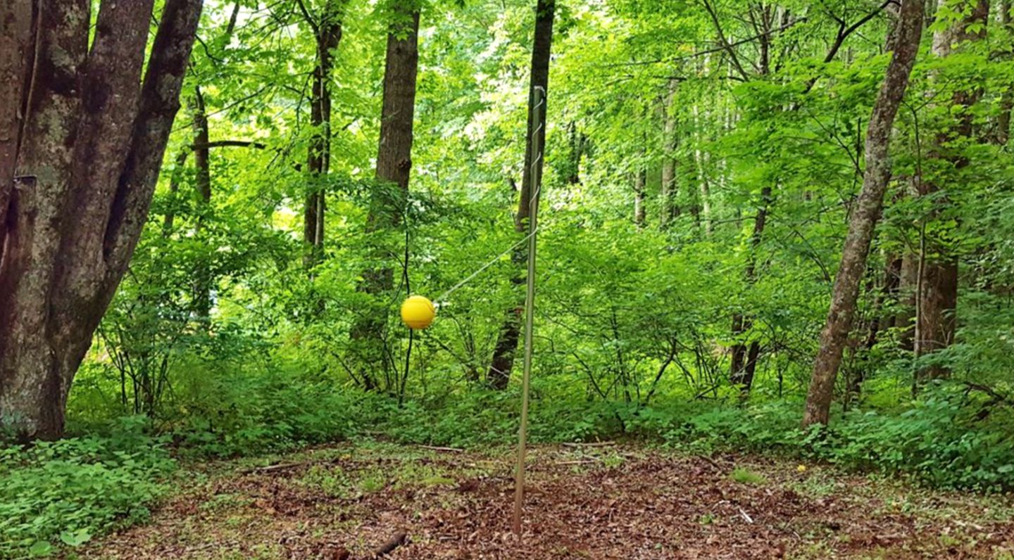 Gorgeous Log Cabin Rental with Easy Mountain Access in Maggie Valley, North Carolina