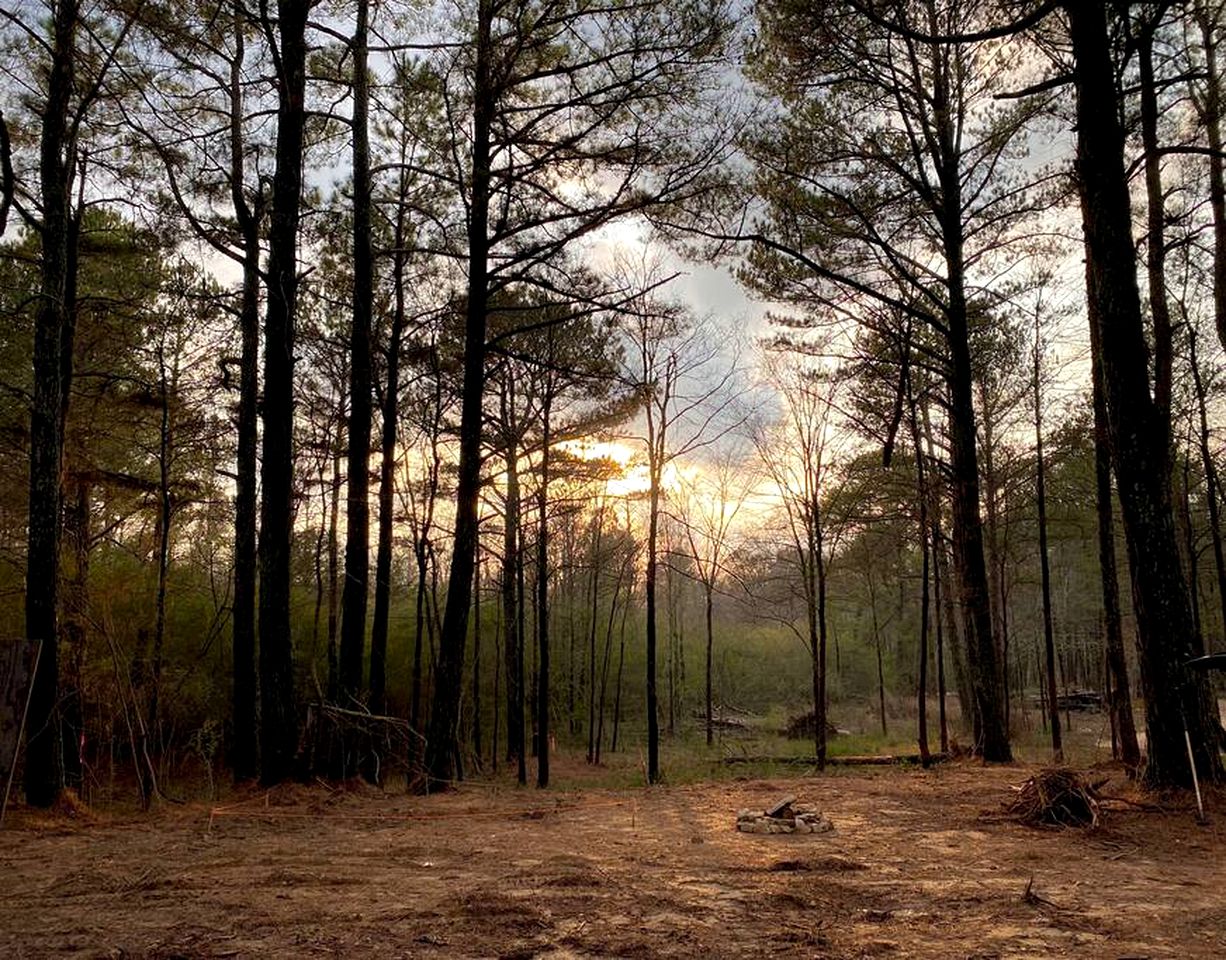 Nestled in Nature: Experience Tiny House Living Bliss in Northern Alabama