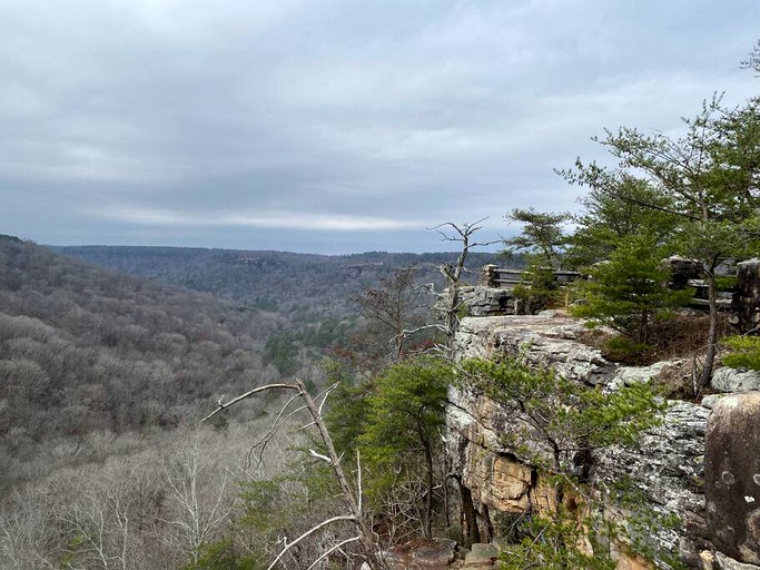 Vacation Rentals (United States of America, Langston, Alabama)