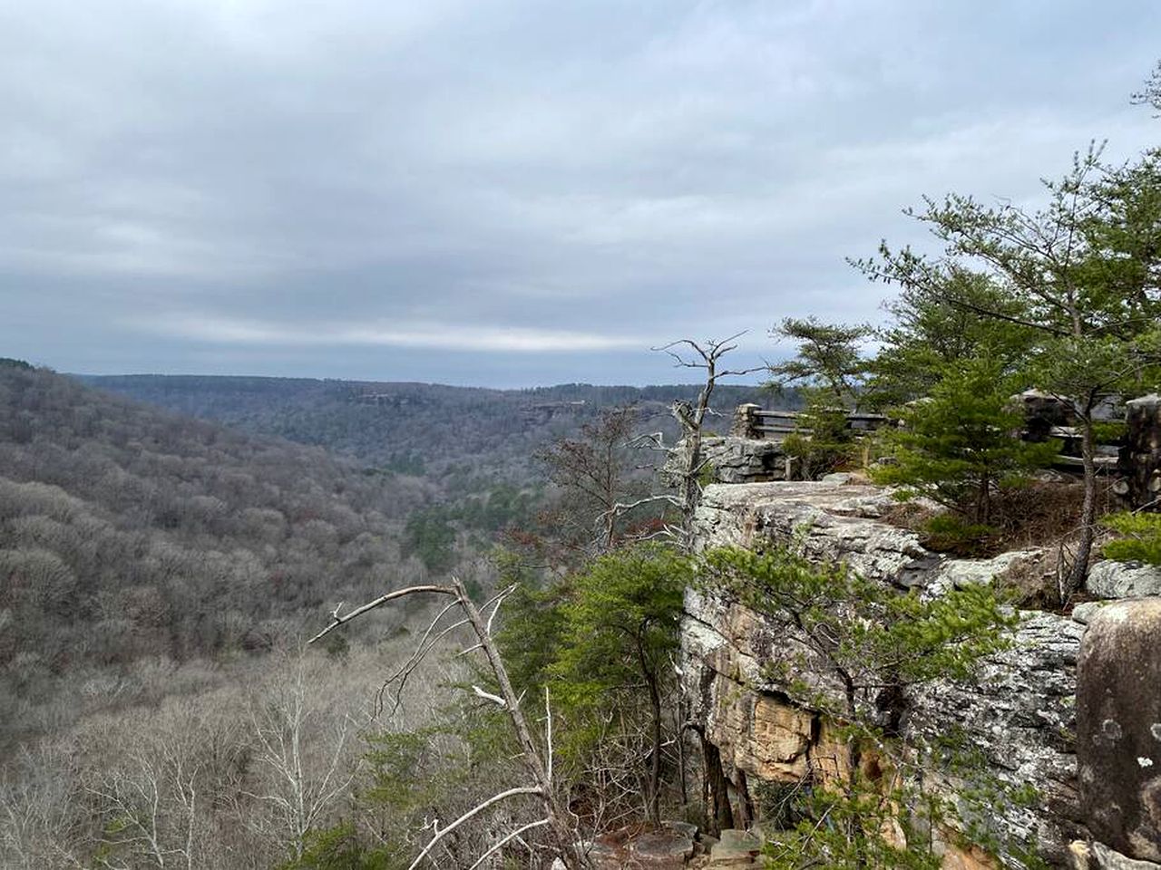 Nestled in Nature: Experience Tiny House Living Bliss in Northern Alabama