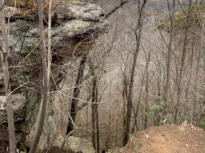 Vacation Rentals (United States of America, Langston, Alabama)