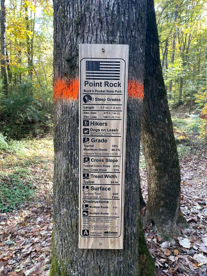 Nestled in Nature: Experience Tiny House Living Bliss in Northern Alabama