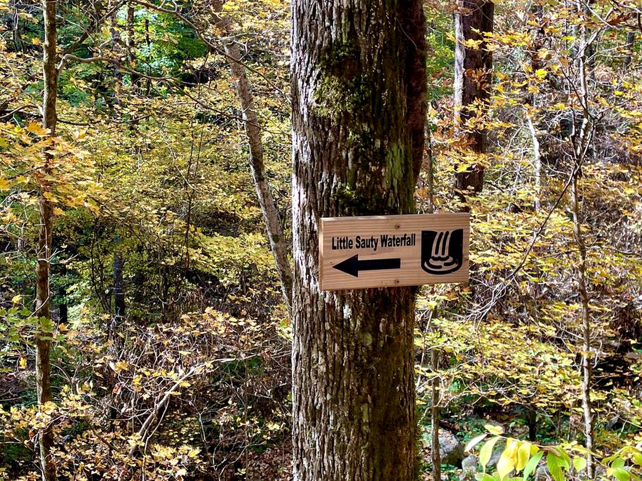 Nestled in Nature: Experience Tiny House Living Bliss in Northern Alabama