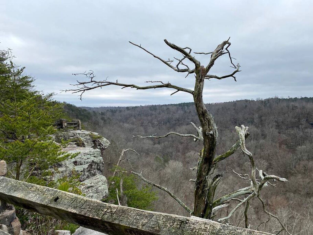 Nestled in Nature: Experience Tiny House Living Bliss in Northern Alabama