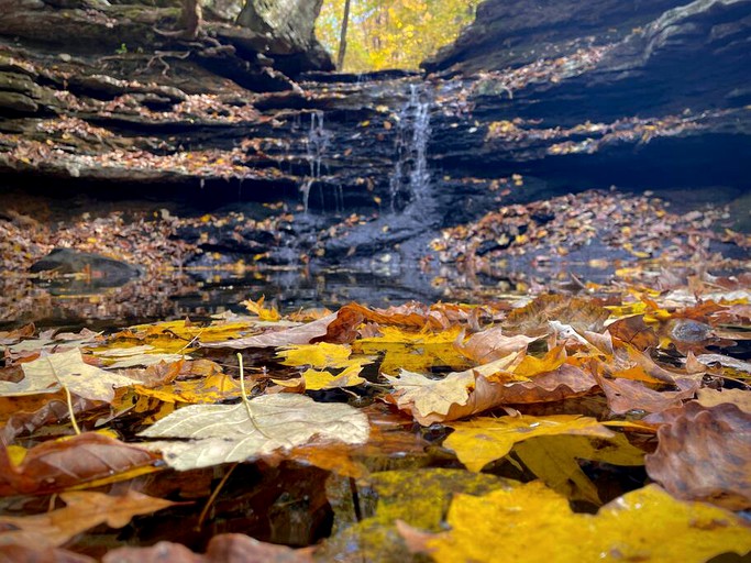 Vacation Rentals (United States of America, Langston, Alabama)