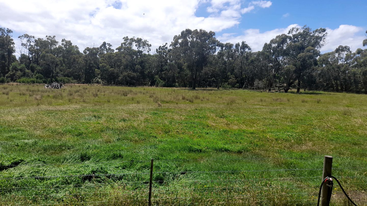 Rustic Tiny House with Beautiful Landscape Views in Buffalo, Victoria