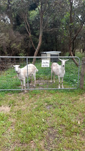 Tiny Houses (Australia, Buffalo, Victoria)