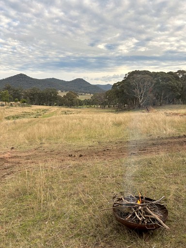 Tiny Houses (Australia, --, --)