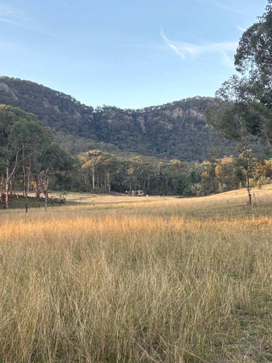 Tiny Houses (Australia, --, --)