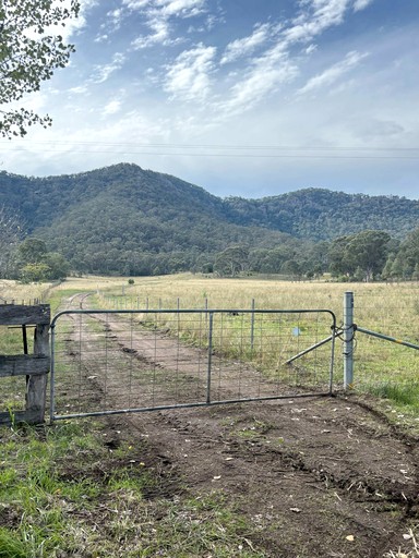 Tiny Houses (Australia, --, --)