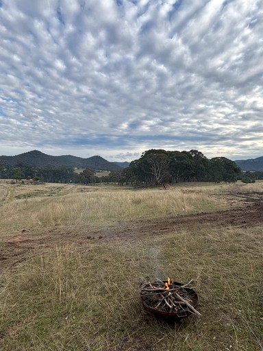 Tiny Houses (Australia, --, --)
