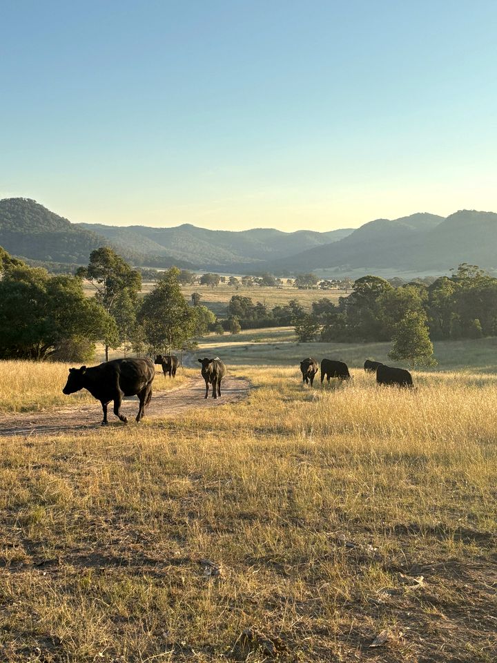 Beautiful Tiny House Next to Gorgeous Hiking Trails in Muswellbrook, New South Wales