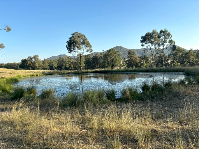 Tiny Houses (Australia, Muswellbrook, New South Wales)
