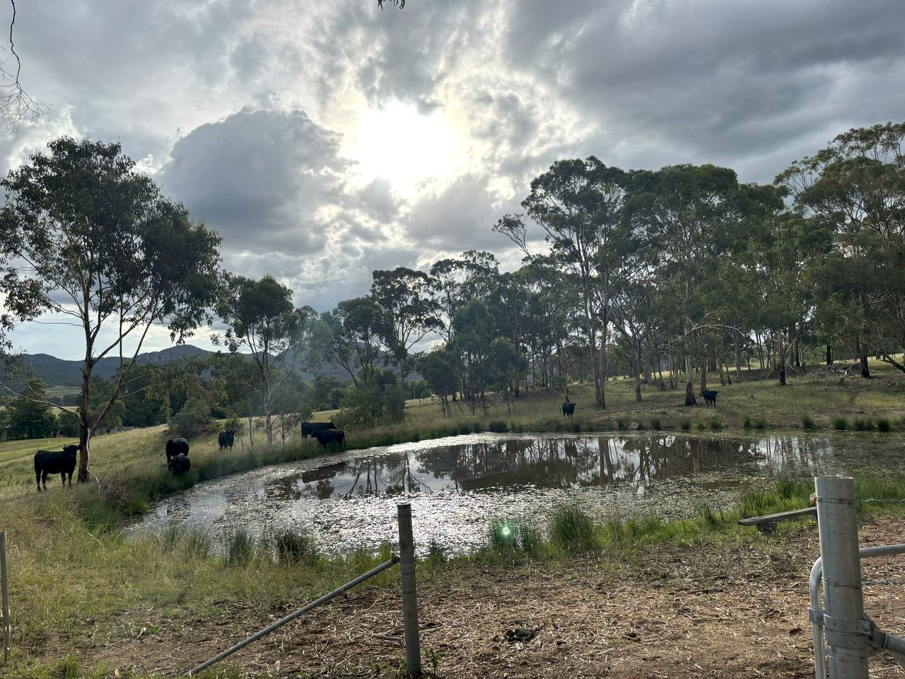 Beautiful Tiny House Next to Gorgeous Hiking Trails in Muswellbrook, New South Wales