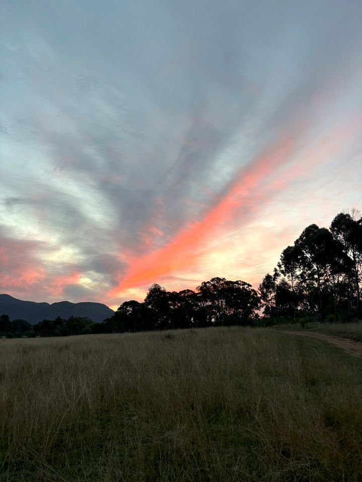 Beautiful Tiny House Next to Gorgeous Hiking Trails in Muswellbrook, New South Wales