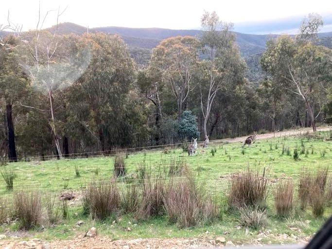 Tiny Houses (Australia, Steels Creek, Victoria)