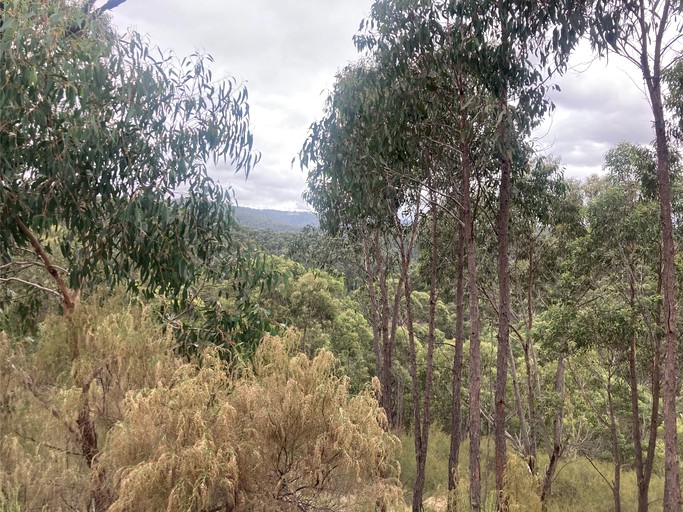 Tiny Houses (Australia, Steels Creek, Victoria)
