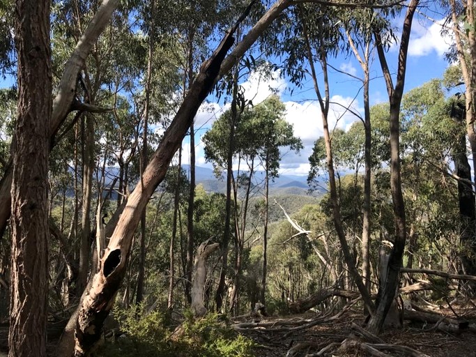 Tiny Houses (Australia, Steels Creek, Victoria)