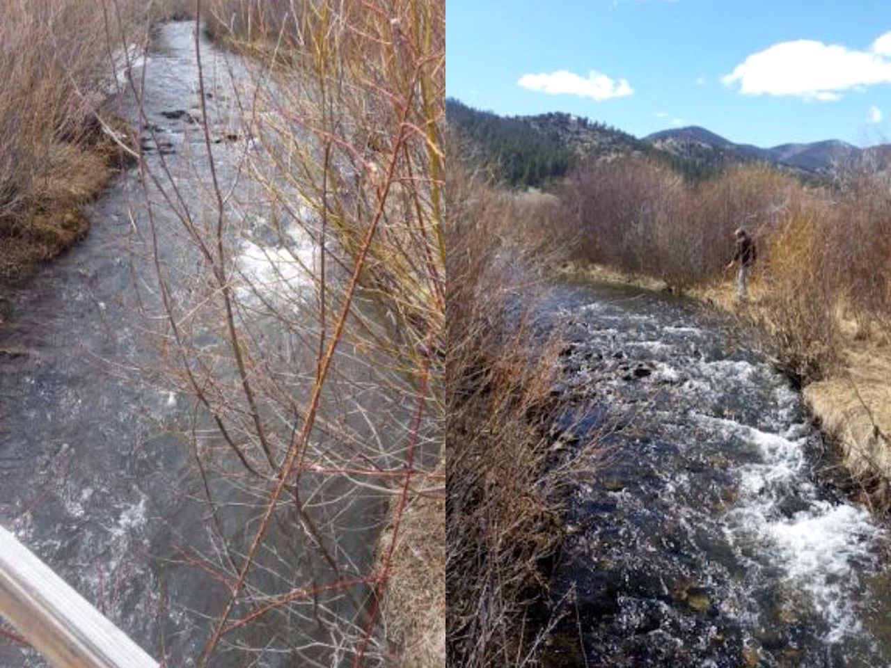 Rustic Cabin Rental near Rio Grande National Forest in Villa Grove, Colorado