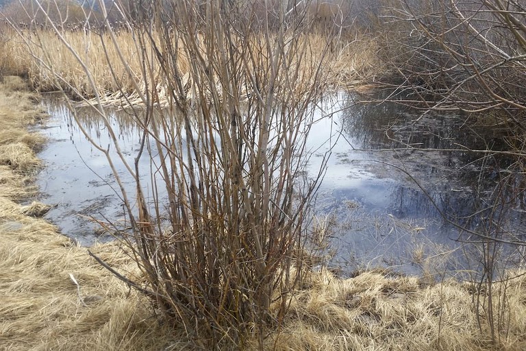 Cabins (Villa Grove, Colorado, United States)