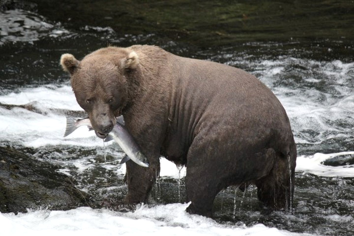 Rustic Cabin Rental for an Adventure-Filled Getaway near the Kenai River, Alaska