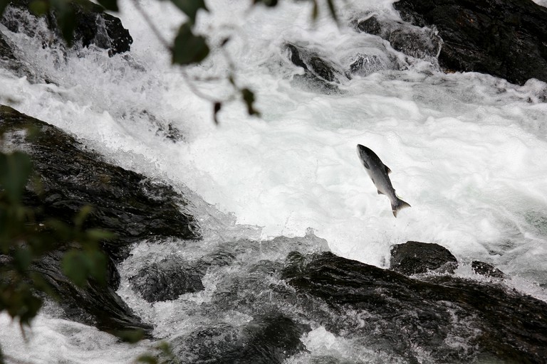 Cabins (Soldotna, Alaska, United States)
