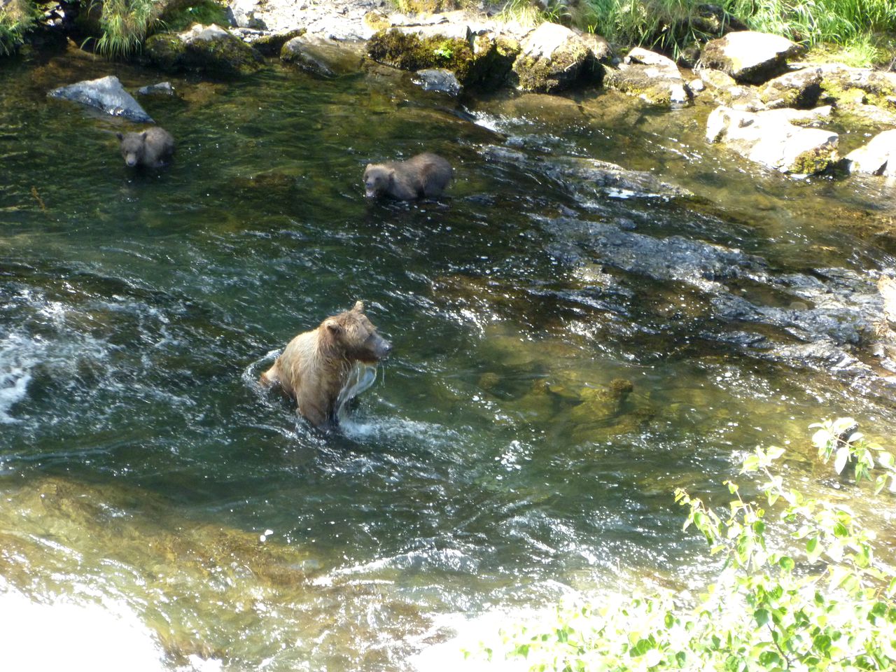 Rustic Cabin Rental for an Adventure-Filled Getaway near the Kenai River, Alaska