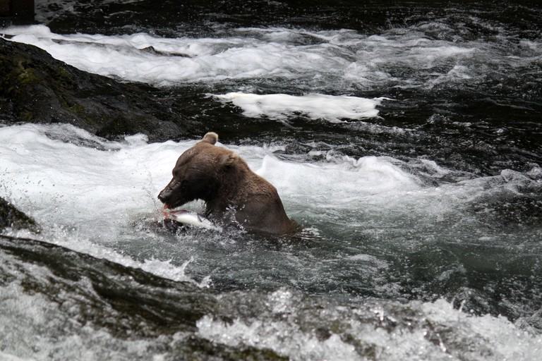 Cabins (Soldotna, Alaska, United States)