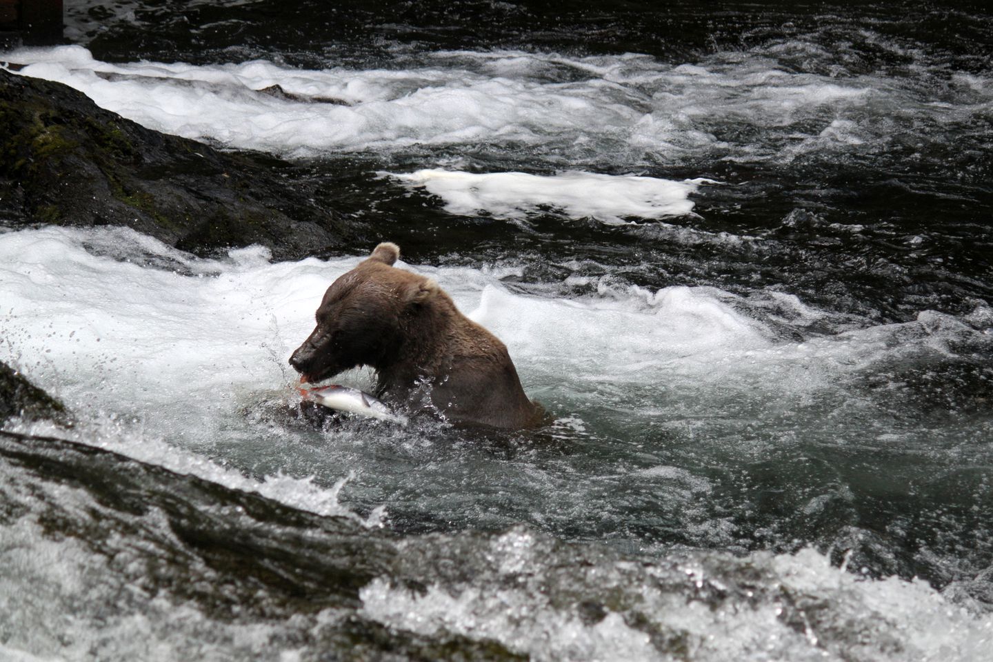 Rustic Cabin Rental for an Adventure-Filled Getaway near the Kenai River, Alaska