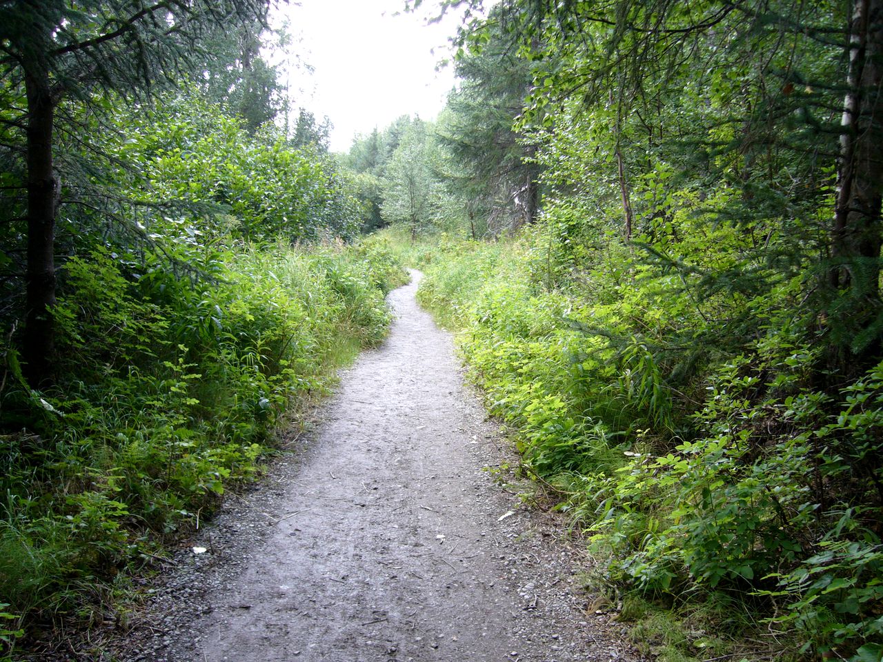 Cozy Cabin Rental in the Woods near the Kenai National Wildlife Refuge, Alaska