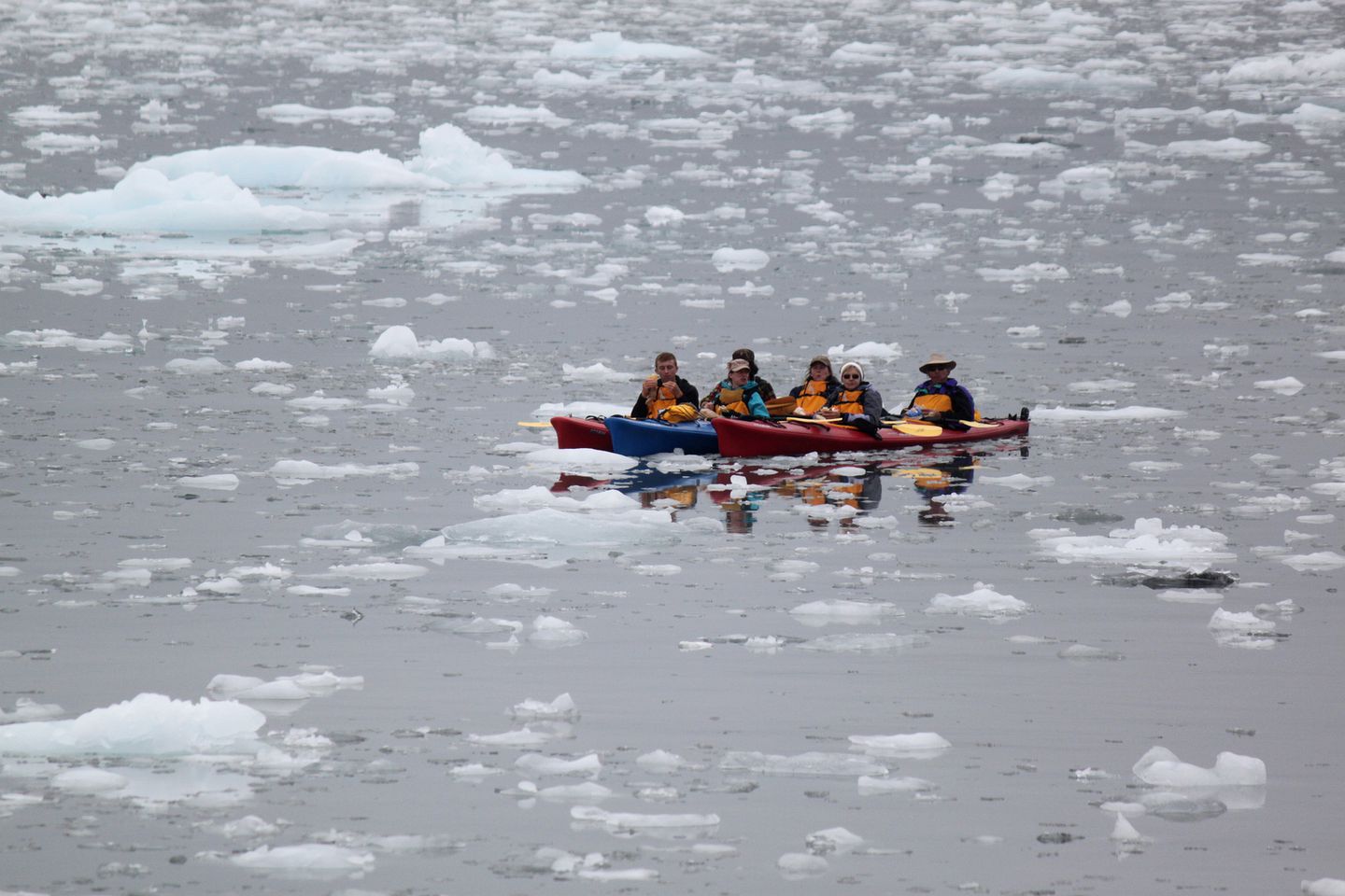 Comfortable Cabin Rental with Rustic Wooden Furnishings near the Kasilof River, Alaska