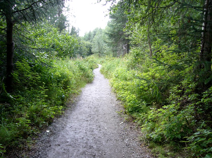Cabins (Soldotna, Alaska, United States)