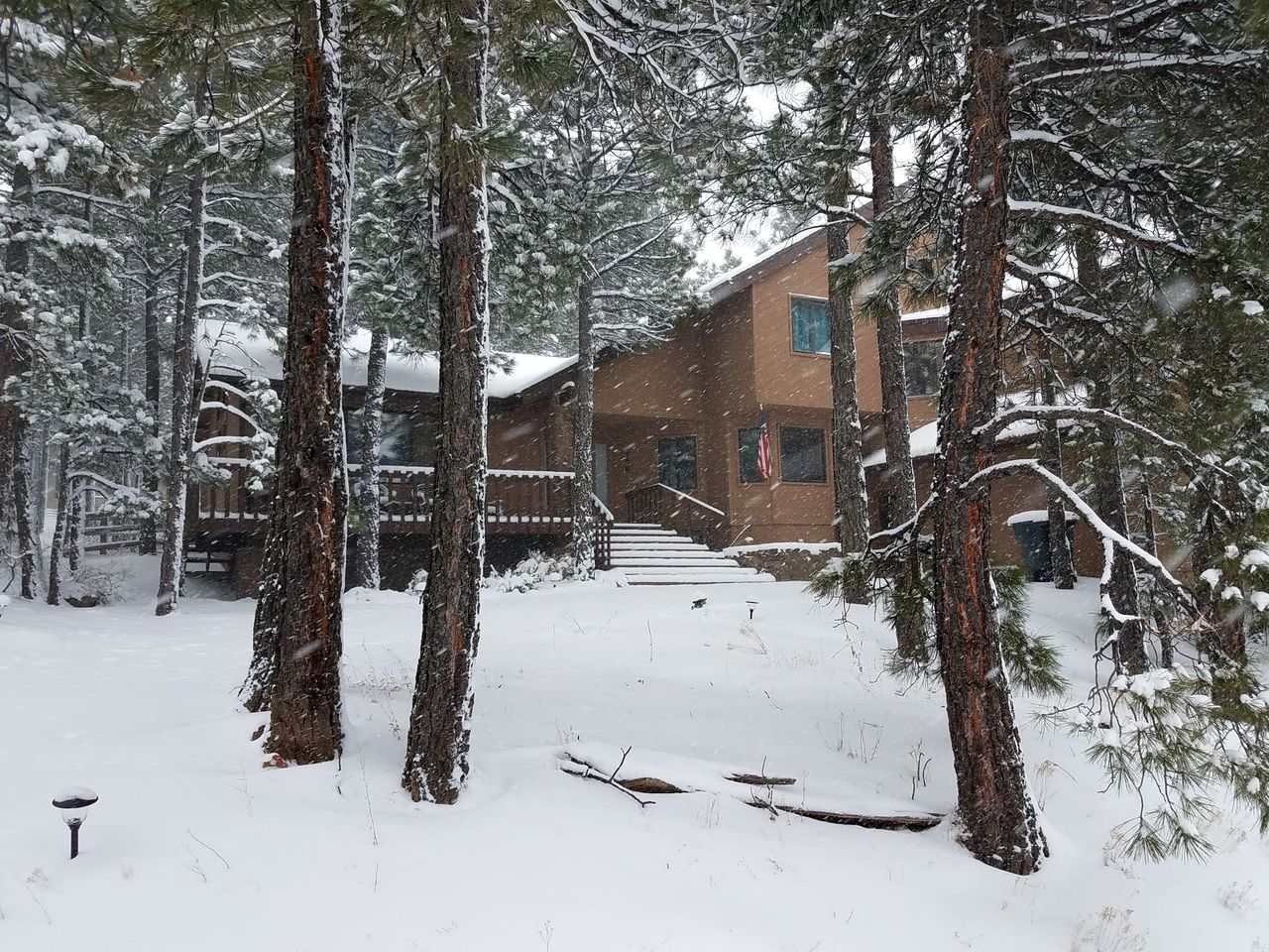 Gorgeous Cozy Cabin with Scenic Forest Views, Fire Pit, and Grill in Flagstaff, Arizona