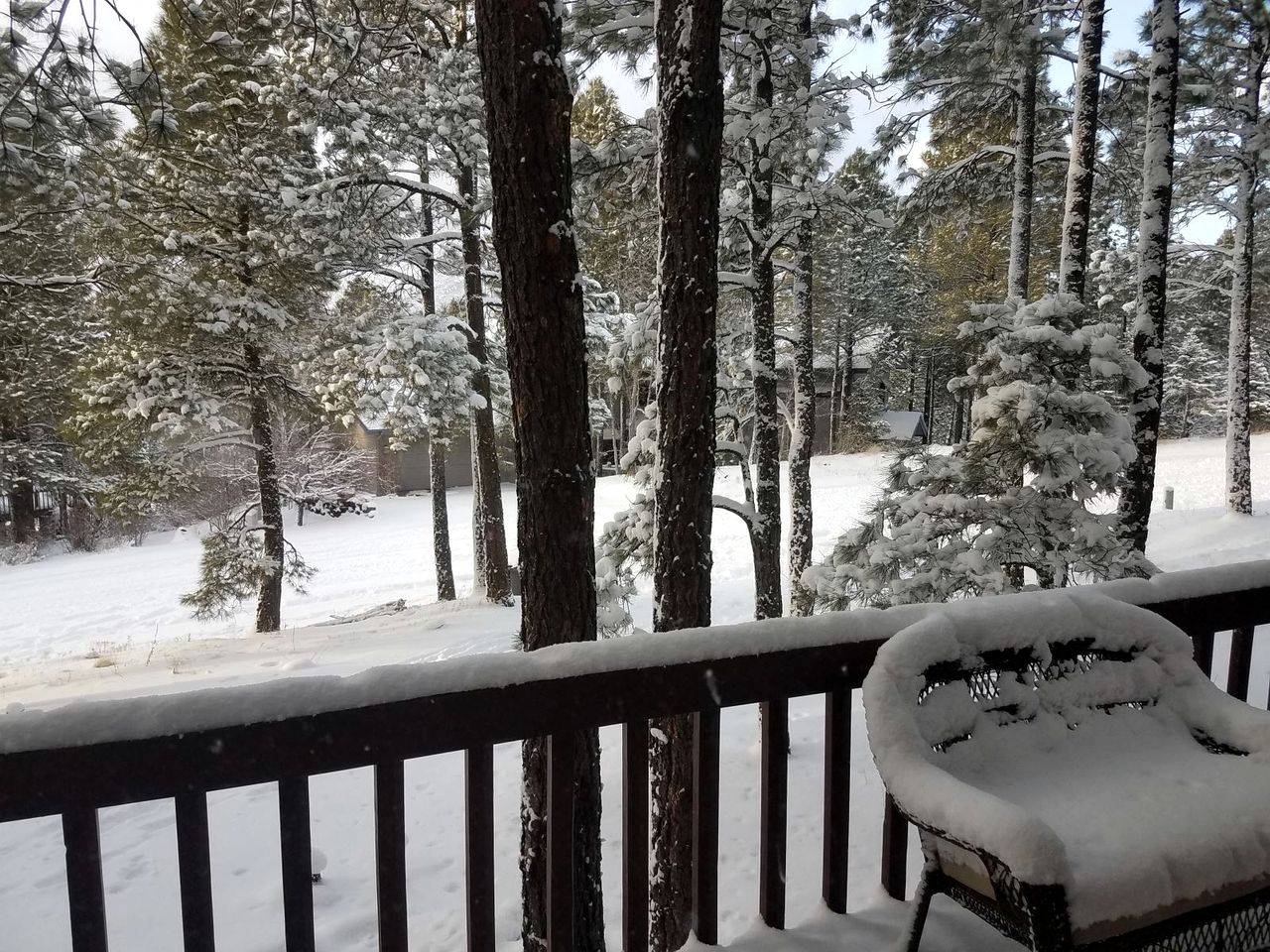Gorgeous Cozy Cabin with Scenic Forest Views, Fire Pit, and Grill in Flagstaff, Arizona