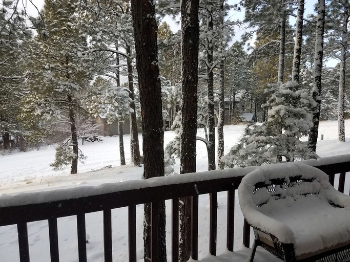 Cabins (United States of America, Flagstaff, Arizona)