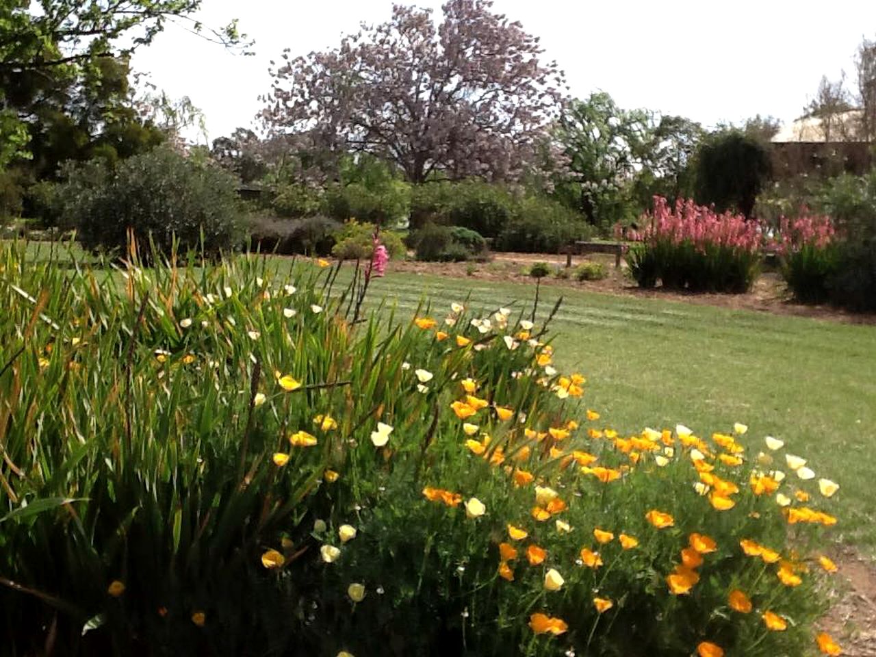 Family-Friendly Caboose Rental in the Australian Countryside in Booroorban, New South Wales