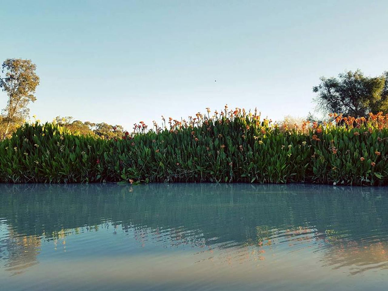 Family-Friendly Caboose Rental in the Australian Countryside in Booroorban, New South Wales