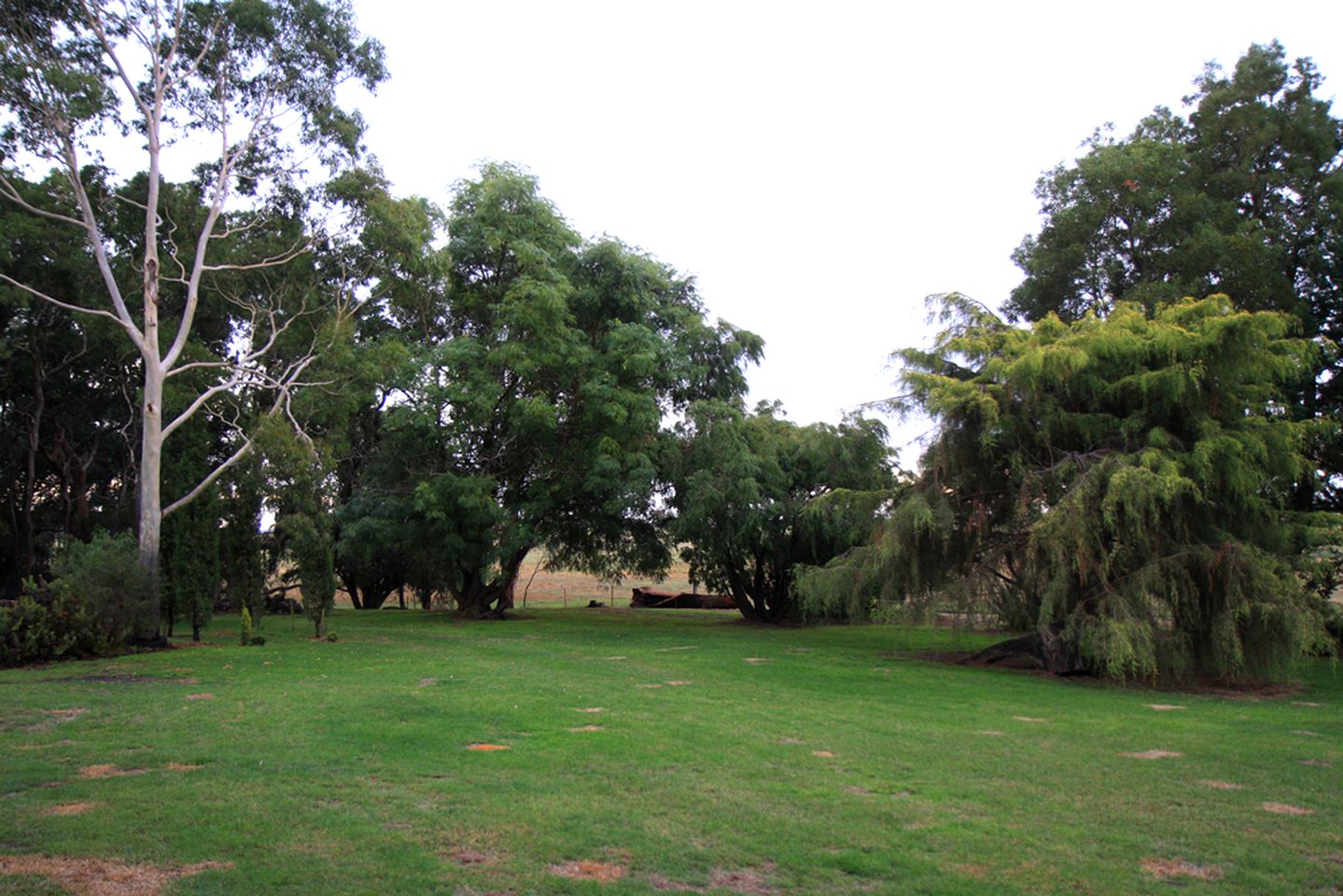 Charming Cottage Rental Tucked Away in the Countryside near Mount Gambier, South Australia