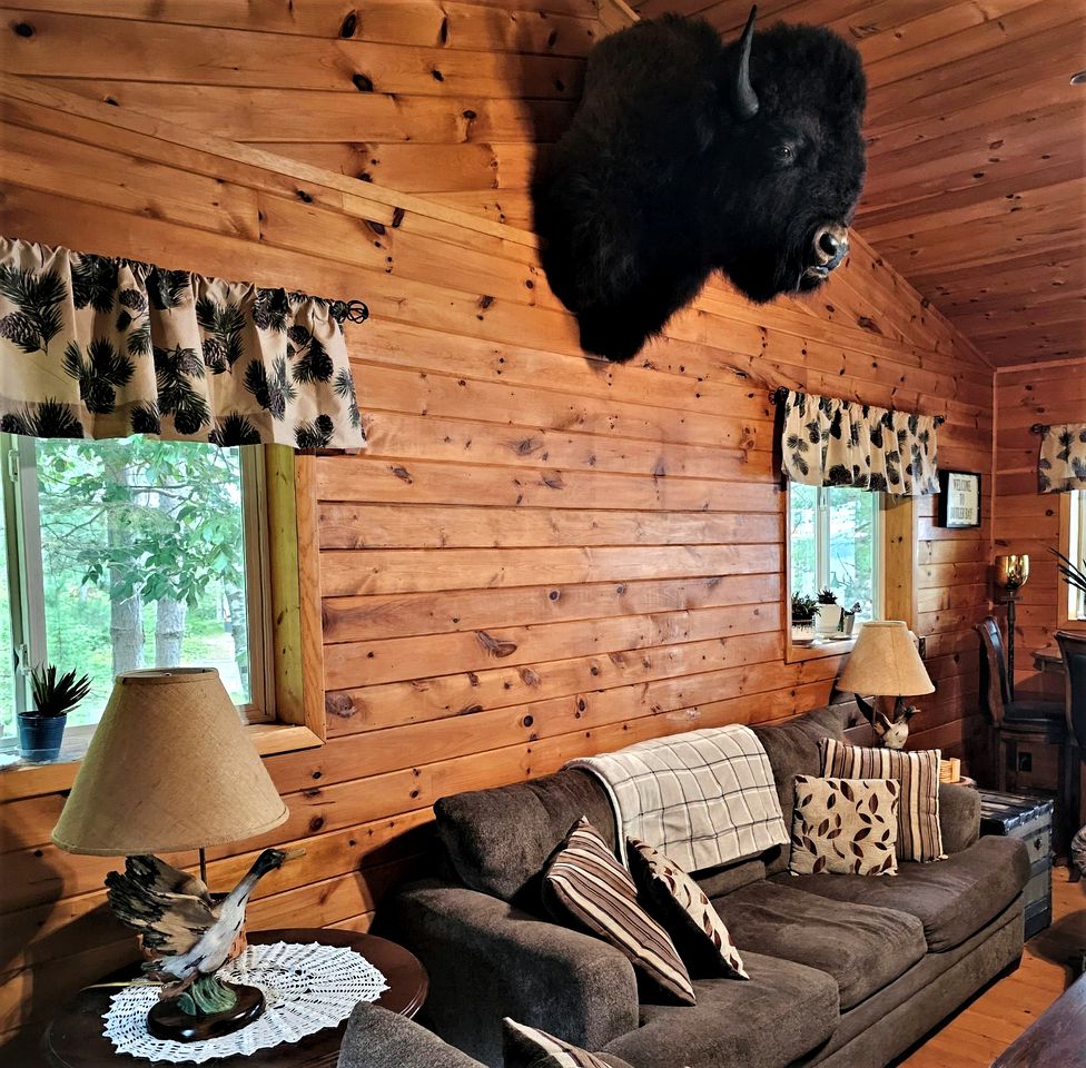 Idyllic Pet-Friendly Waterfront Cabin with Private Boat Dock on Teale Lake in Hayward, Wisconsin