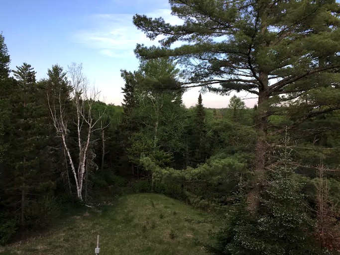 Log Cabins (Ely, Minnesota, United States)