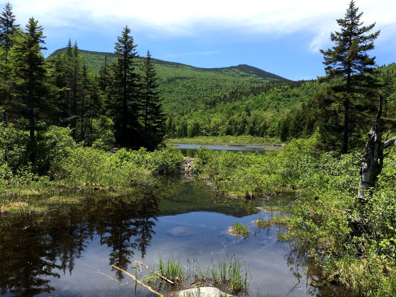 Luxury Cabin Rental near Mt. Washington for a Vacation in New Hampshire