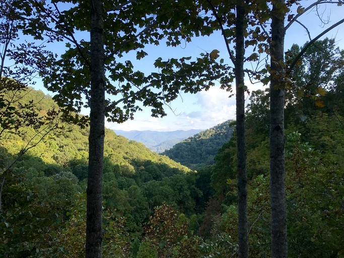 Off Grid Tiny Cabin Ideal for Couples in Burnsville, North Caroline | Cabins (Burnsville, North Carolina, United States of America)