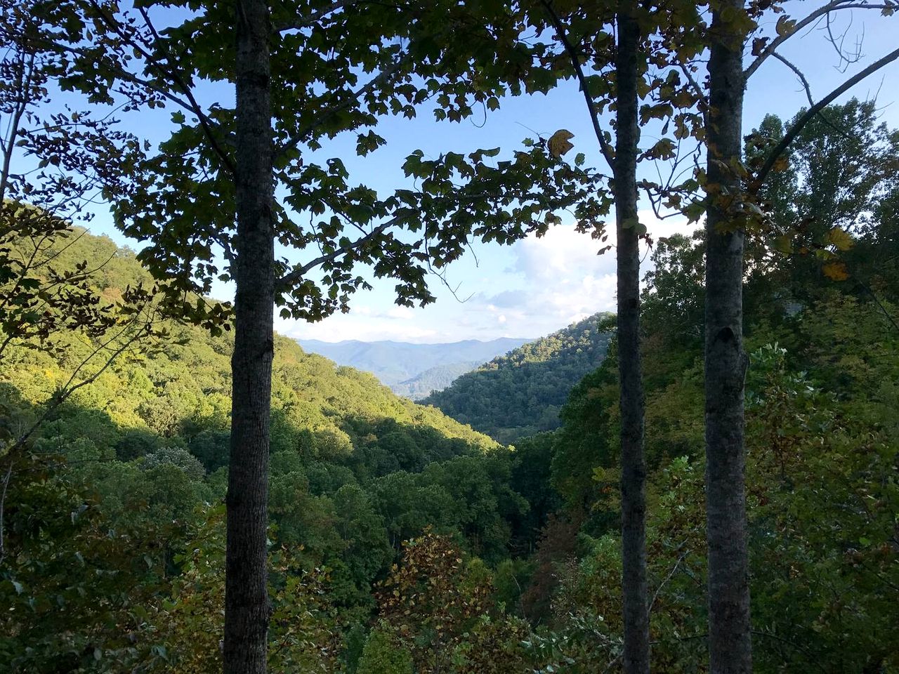 Off Grid Tiny Cabin Ideal for Couples in Burnsville, North Carolina