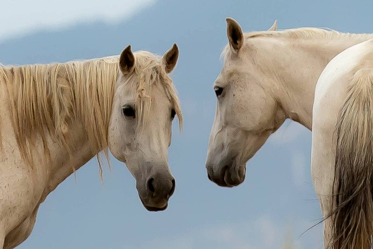Cabins (Livingston, Montana, United States)