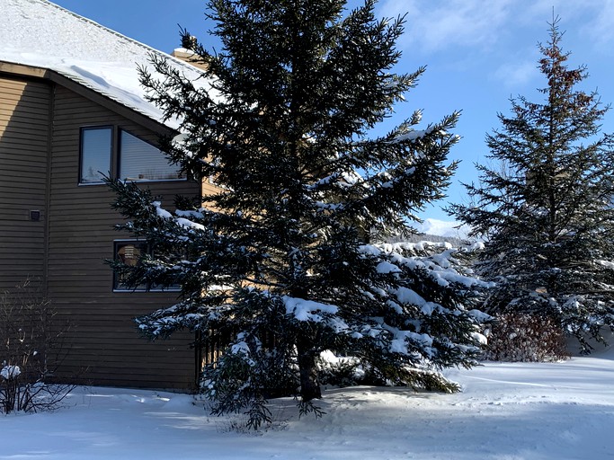 Cabins (United States of America, --, New Hampshire)