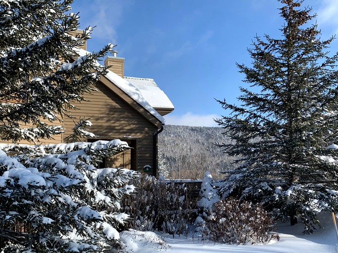 Cabins (United States of America, --, New Hampshire)