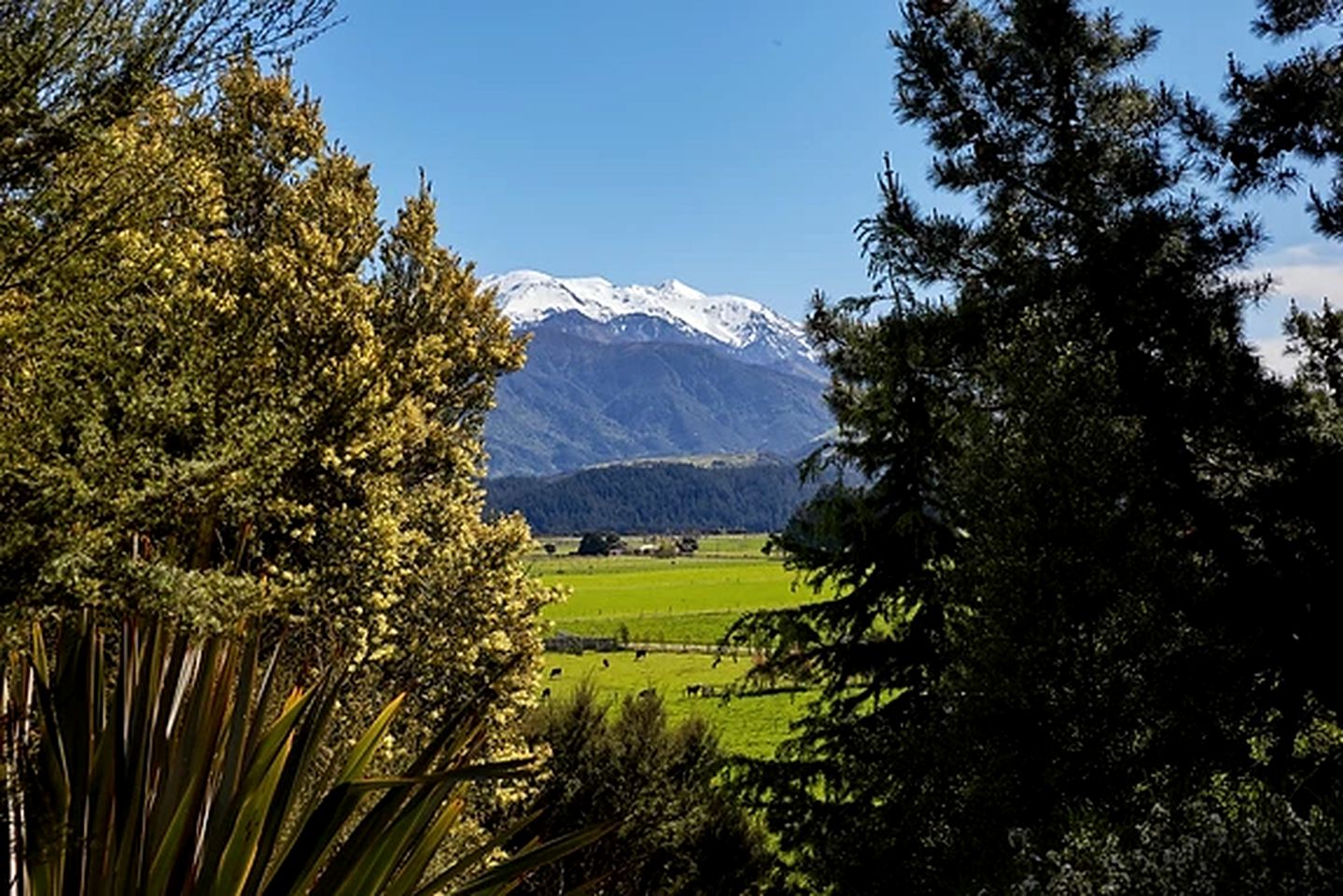 Stylish Accommodation near Kaikoura with Stunning Views